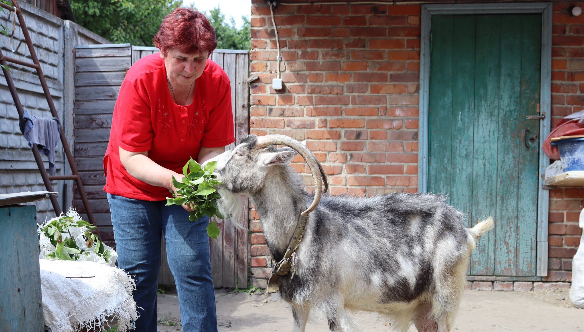 “Дуже хочеться додому”- історія родини Леунових, яку евакуювали з прикордоння