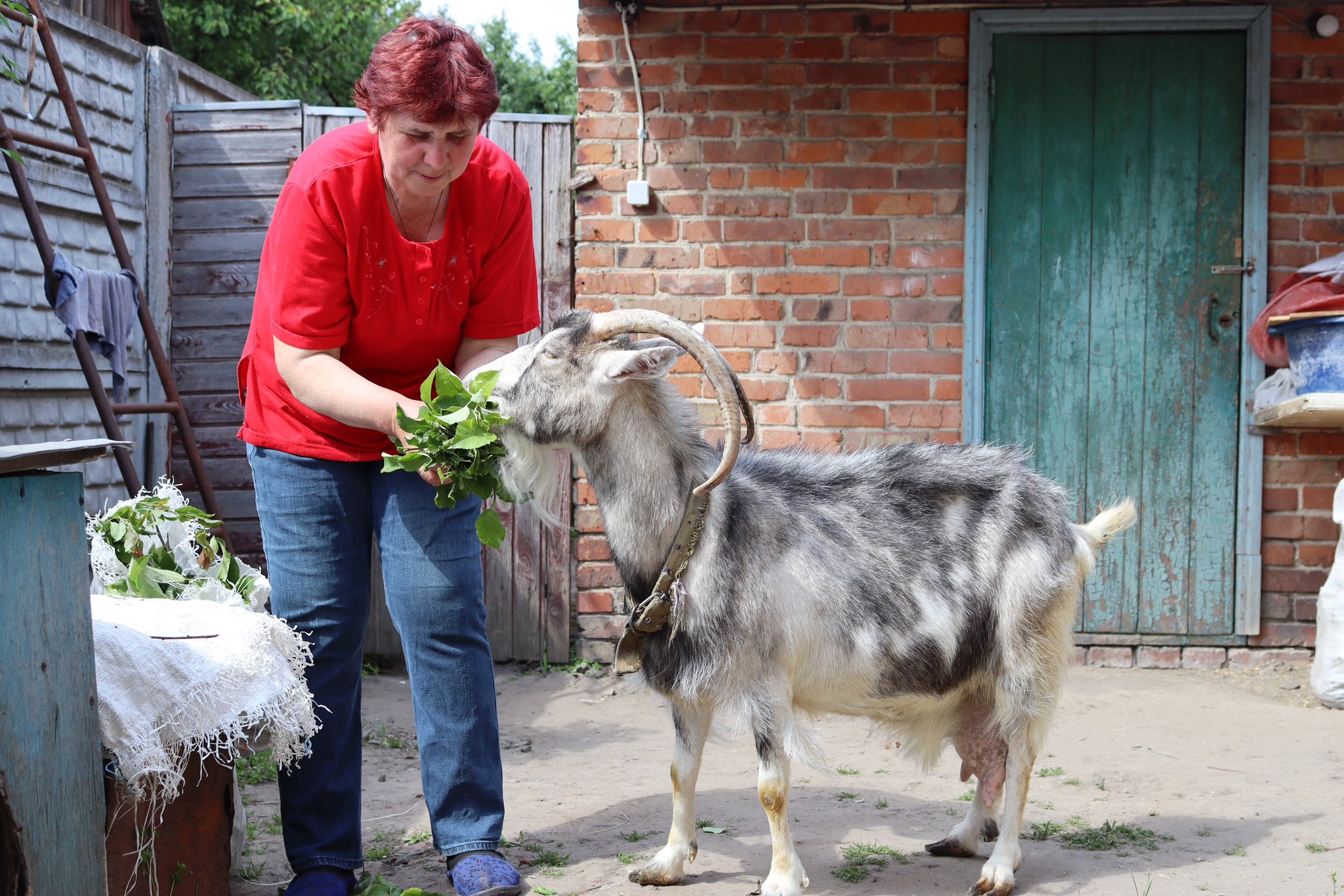“Дуже хочеться додому”- історія родини Леунових, яку евакуювали з прикордоння